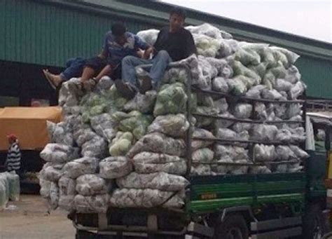 truck ban baguio 2023|Veggie traders appeal for Baguio to lift truck ban.